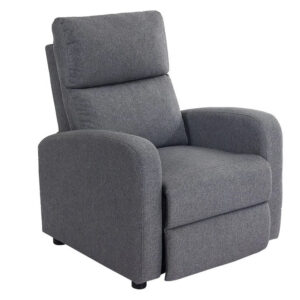 Sleeky Recliner Chair